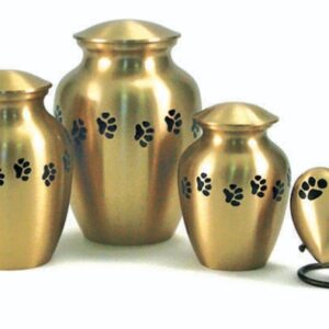 J0316PPXS Paw Urn Brass XS