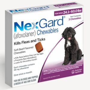 NexGard 24.1-60lbs Dogs/Puppys