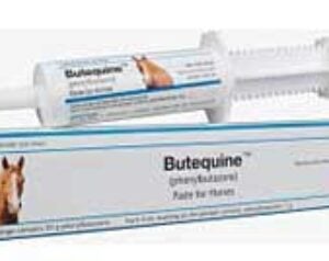Phenylbutazone "Bute" Paste 20g