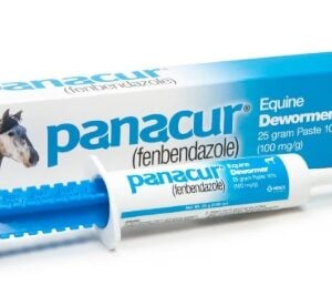 Panacur Paste 25gm Syr 12/BX