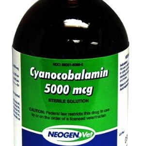 B12 5000 mcg 100ML 12/CS..