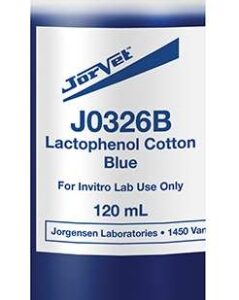 J0326B Lactophenol Cotton Blue