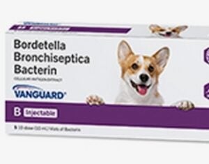Vanguard Bronchicine 10ml Inj 5